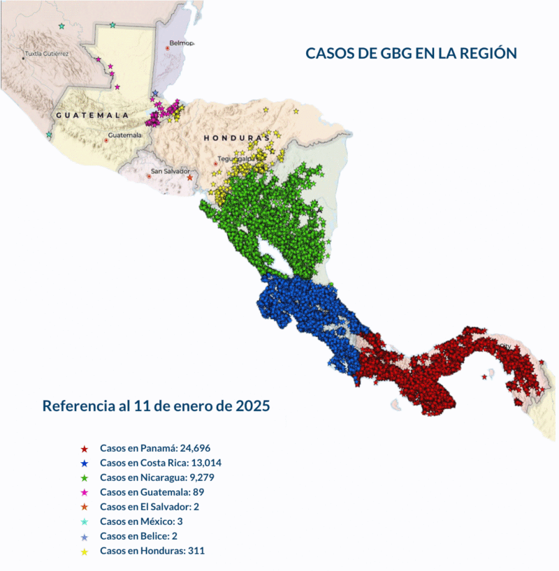 Mapa de casos de gusano barrenador